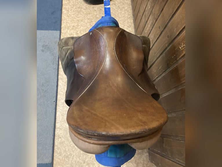 Vielseitigkeitssattel - Felsbach Husar