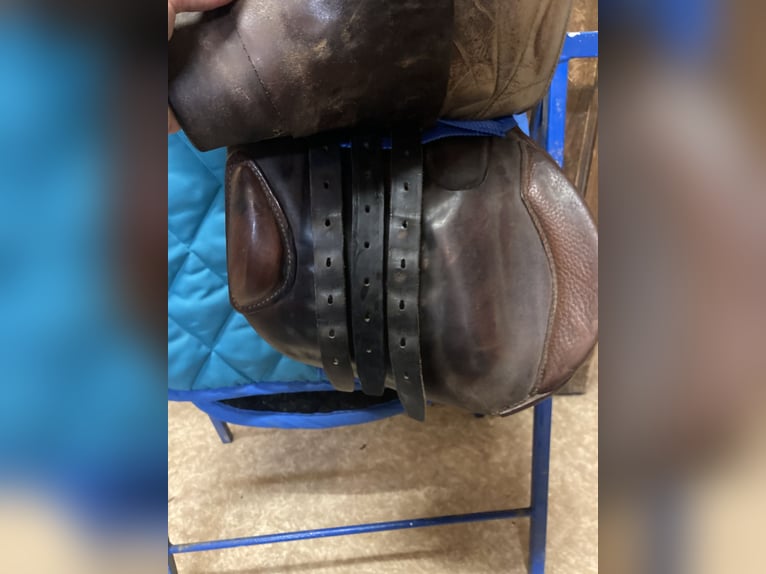 Vielseitigkeitssattel - Felsbach Husar