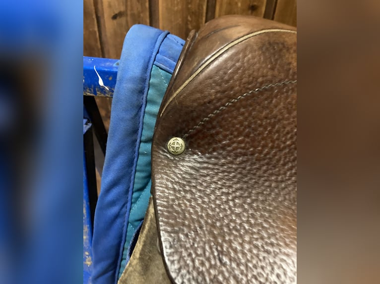 Vielseitigkeitssattel - Felsbach Husar