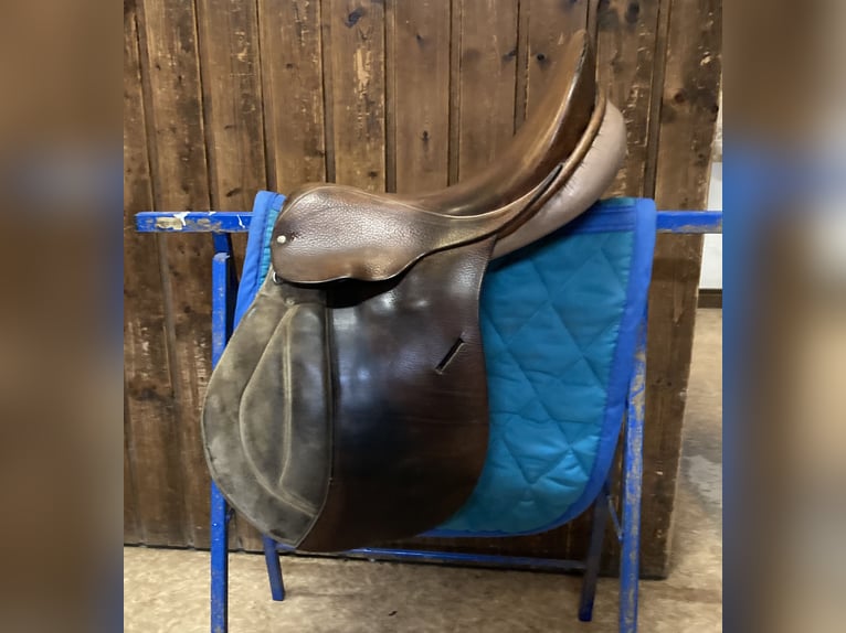 Vielseitigkeitssattel - Felsbach Husar