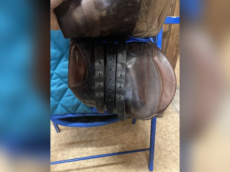 Vielseitigkeitssattel - Felsbach Husar