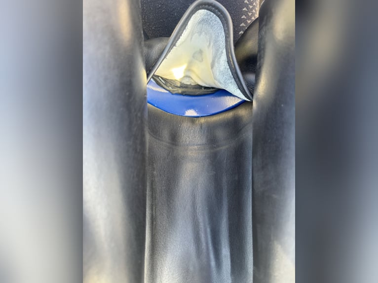 Vielseitigkeitssattel