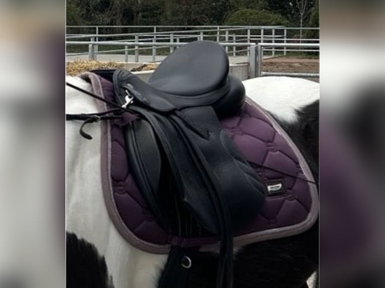 Vielseitigkeitssattel kiefer 17,5 Zoll