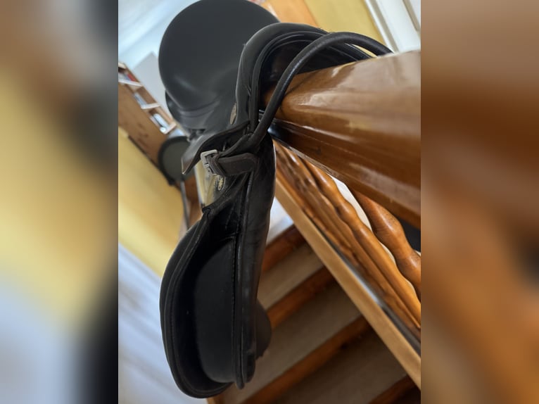 Vielseitigkeitssattel Prestige Silver Star