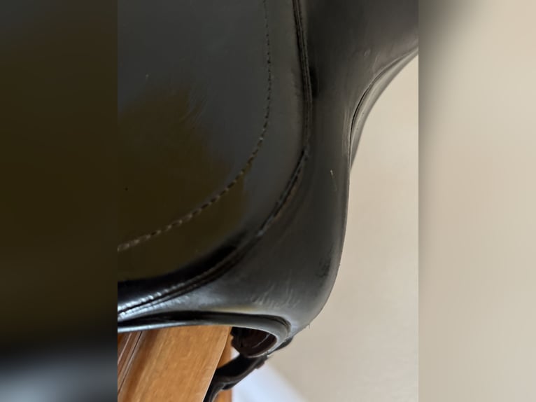 Vielseitigkeitssattel Prestige Silver Star