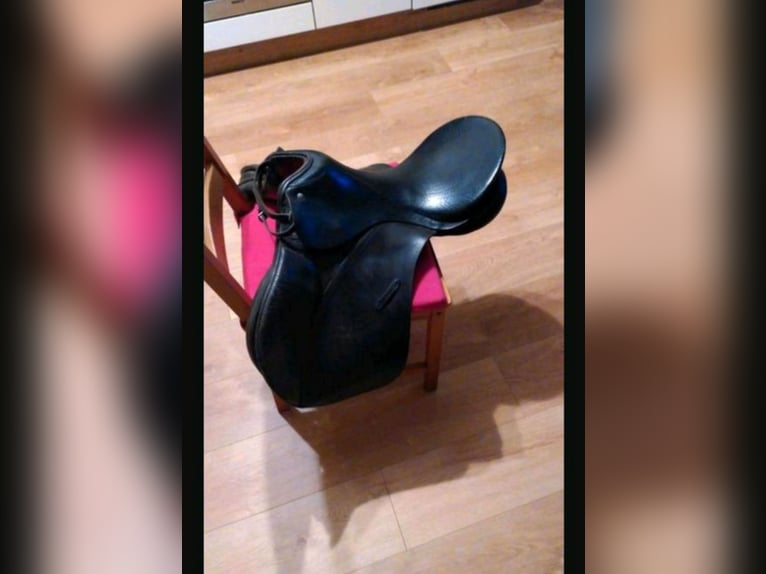 Vielseitigkeitssattel Schwerpunkt Dressur