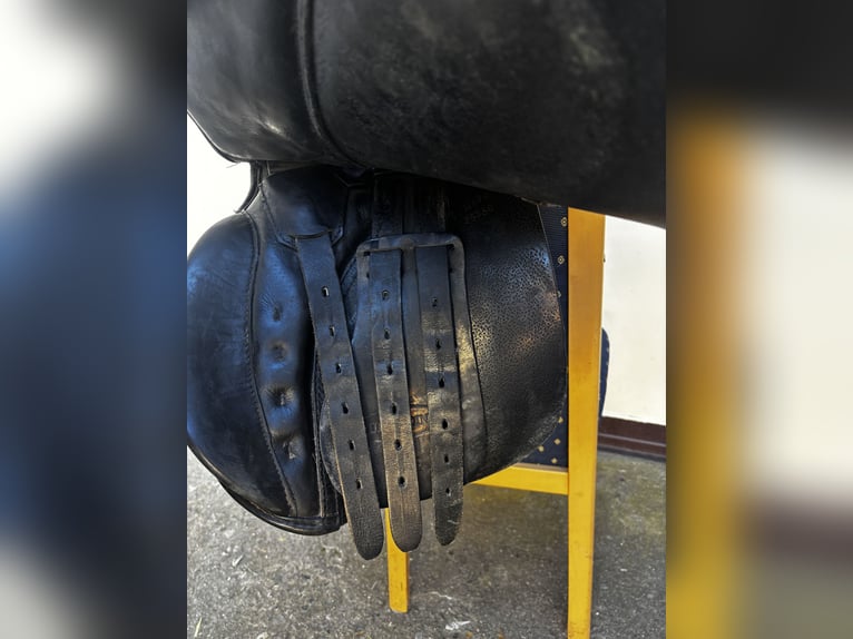 Vielseitigkeitssattel von Euroriding