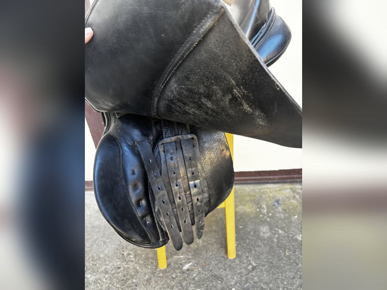 Vielseitigkeitssattel von Euroriding