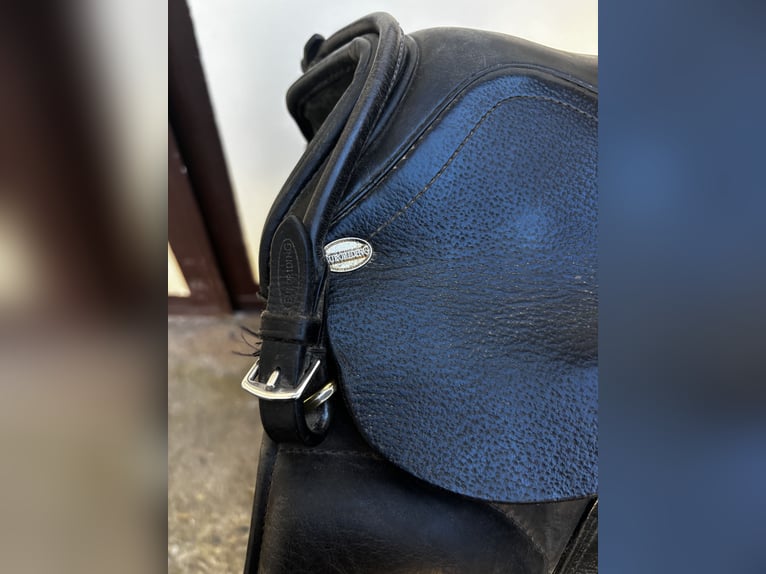 Vielseitigkeitssattel von Euroriding