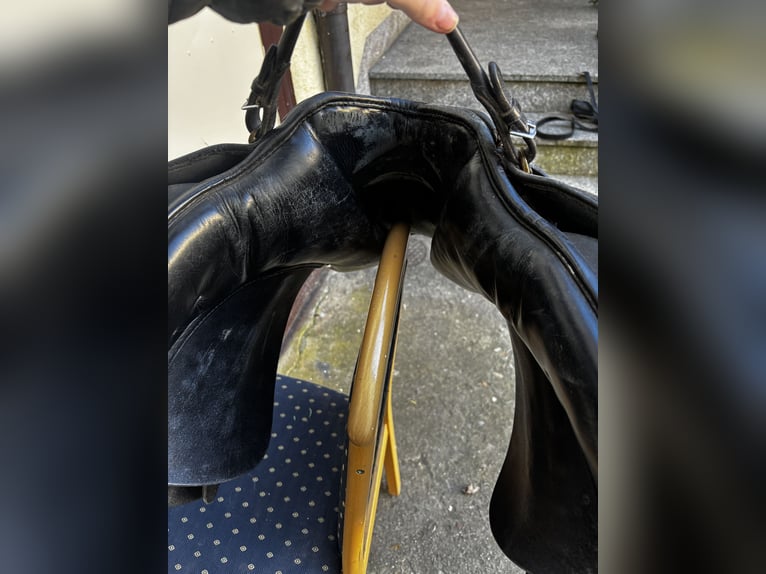 Vielseitigkeitssattel von Euroriding