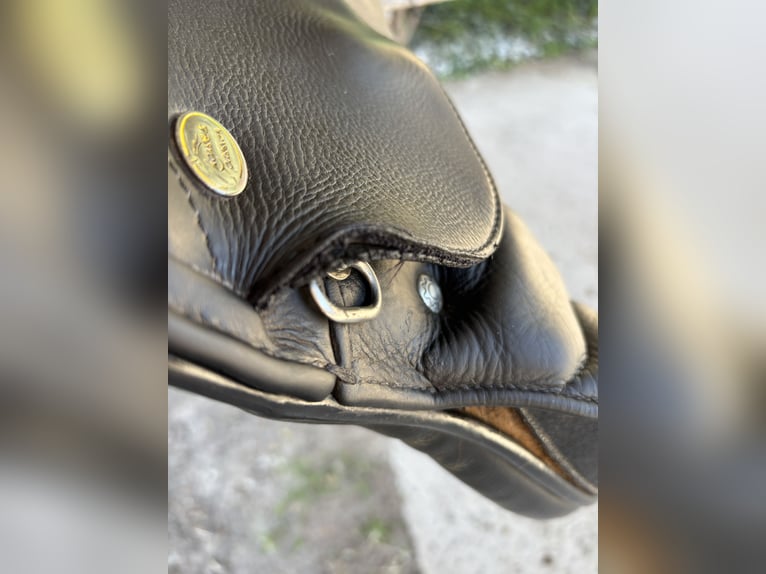 Vielseitigkeitssattel von Horse & Passion