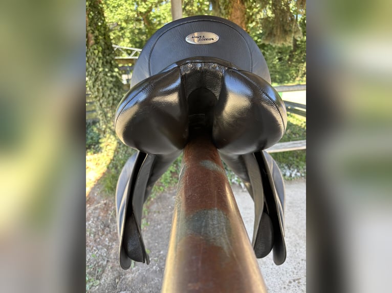 Vielseitigkeitssattel von Horse & Passion