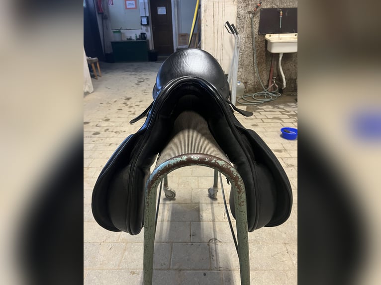 Vielseitigkeitssattel von Kavalkade „Ajax“