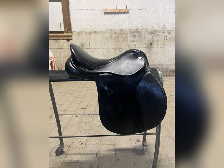 Vielseitigkeitssattel von Kavalkade „Ajax“