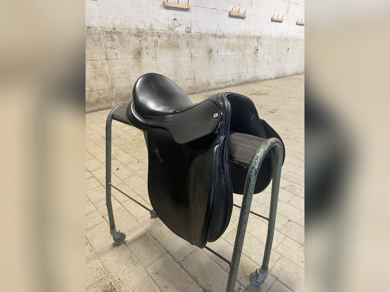 Vielseitigkeitssattel von Kavalkade „Ajax“