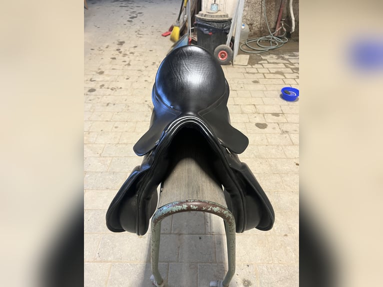 Vielseitigkeitssattel von Kavalkade „Ajax“