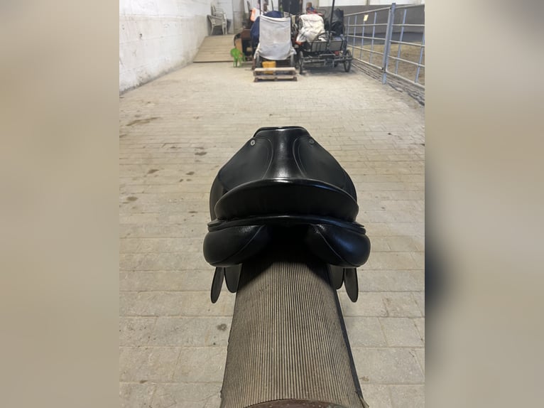 Vielseitigkeitssattel von Kavalkade „Ajax“