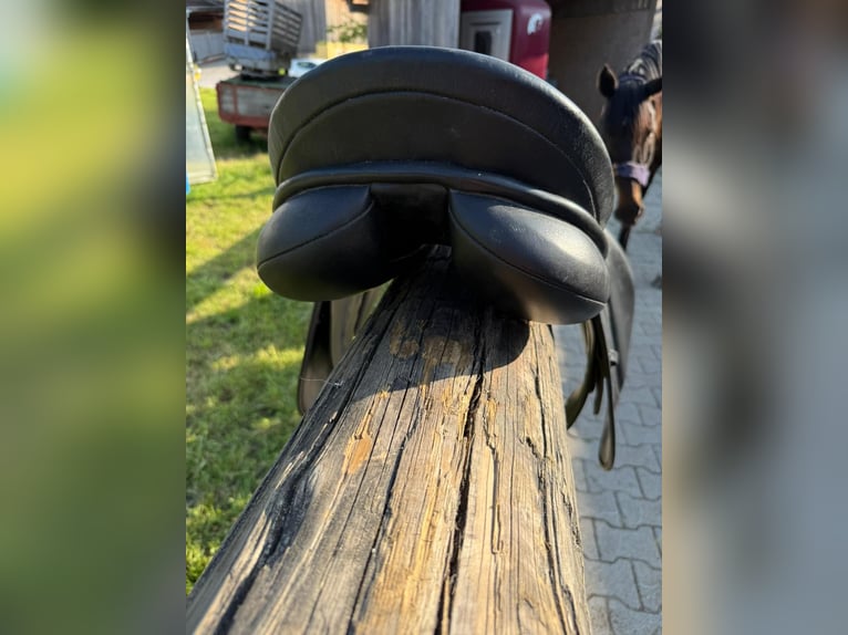 Vielseitigkeitssattel von Lemetex