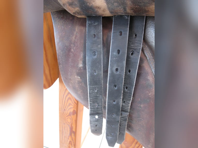 Vielseitigkeitssattel Waldhausen Leder braun