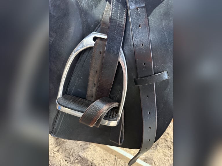 VS Sattel Equi Bette