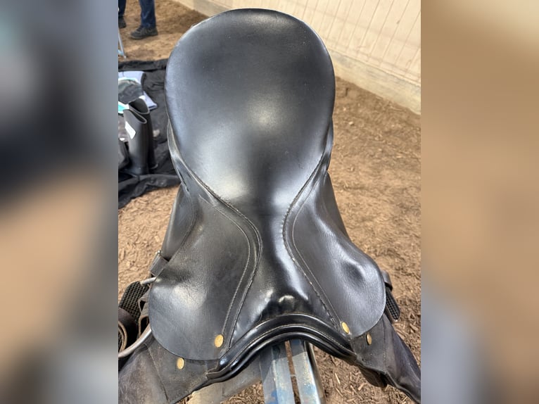 VS Sattel Equi Bette