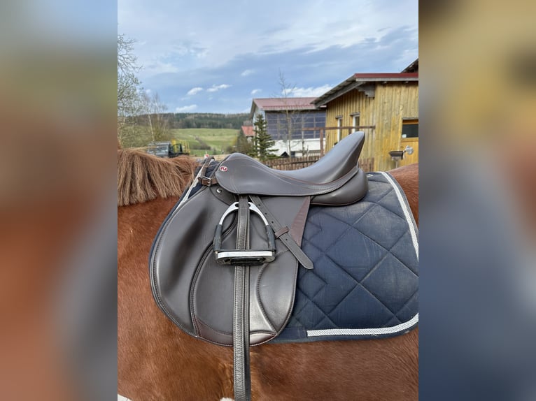 VS Sattel Kieffer in dunkelbraun