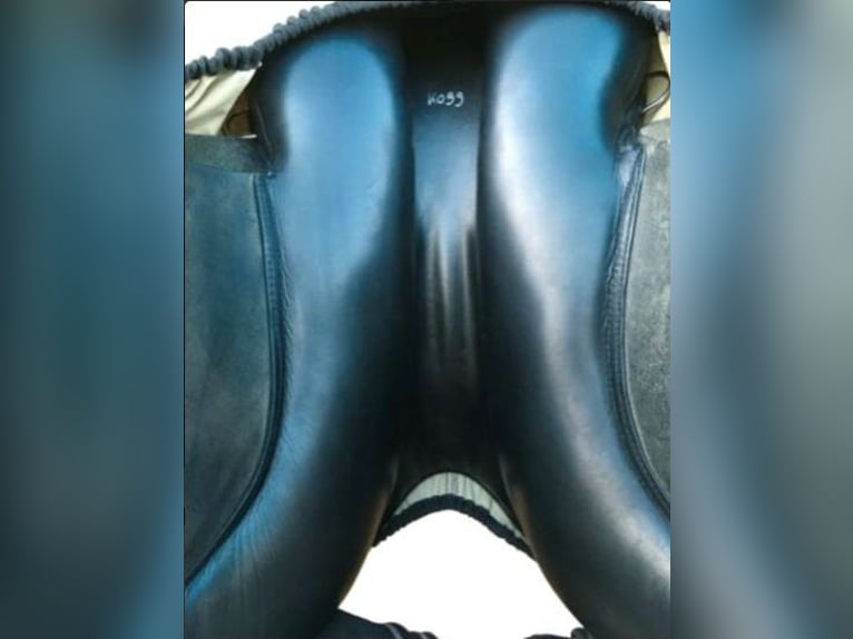 VS Sattel Vielseitigkeitssattel Leder schwarz ca. 18"