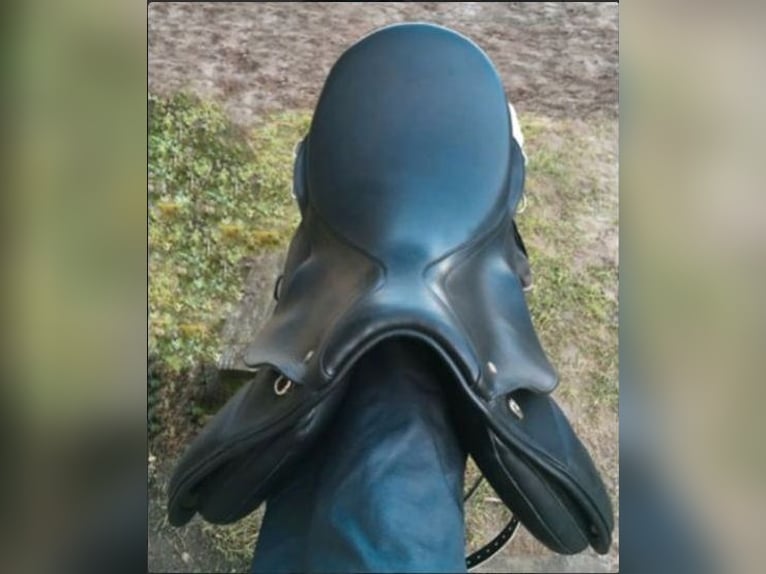 VS Sattel Vielseitigkeitssattel Leder schwarz ca. 18"