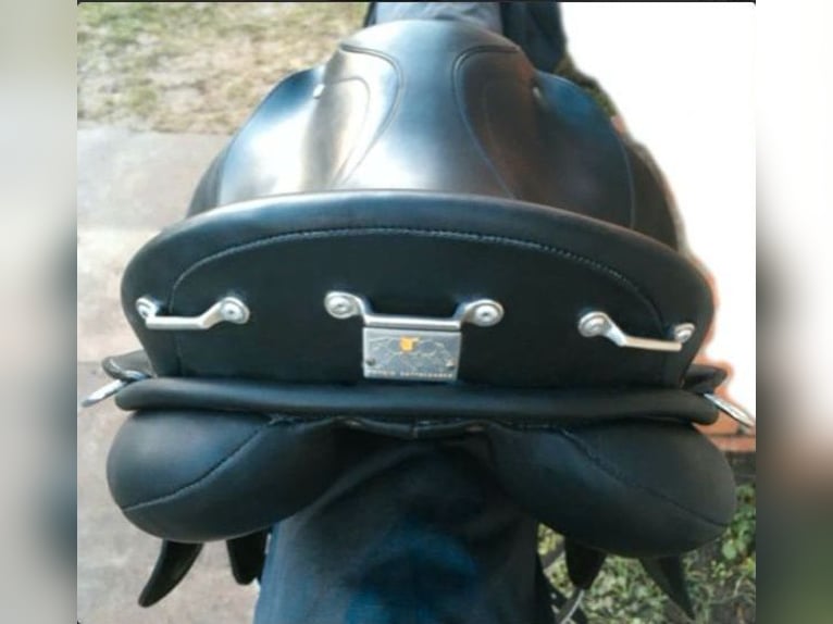 VS Sattel Vielseitigkeitssattel Leder schwarz ca. 18"