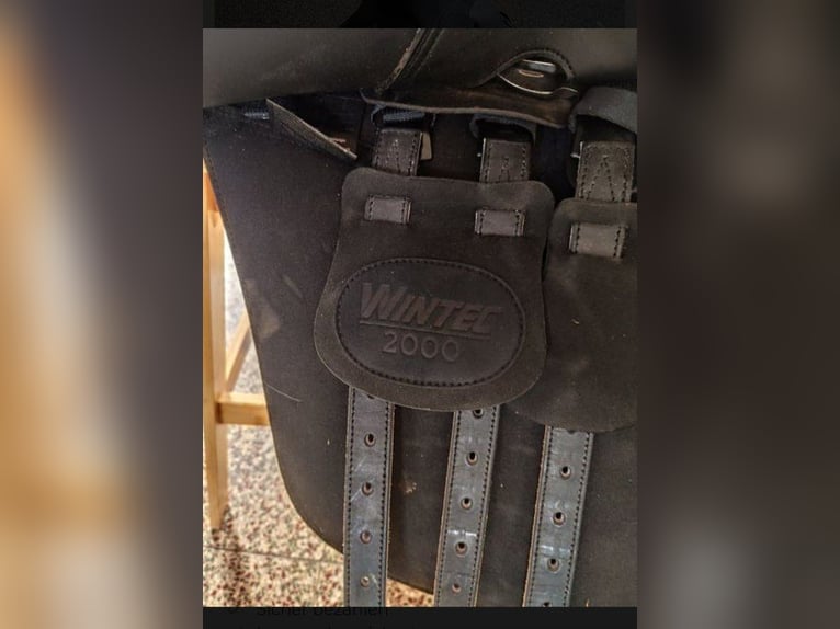 Wintec 2000 Sattel