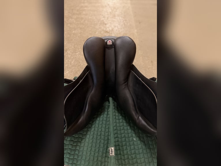 Wintec 500 VS HART 17,5" 44cm