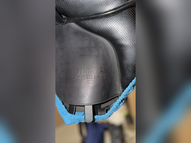 Wintec 500 VS HART 17,5" 44cm