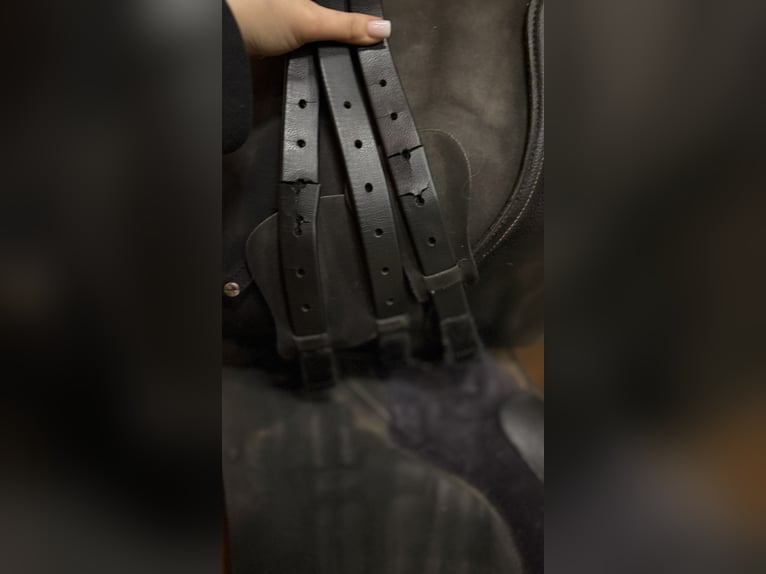 Wintec 500 VS HART 17,5" 44cm