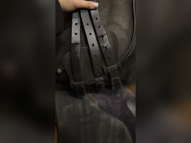 Wintec 500 VS HART 17,5" 44cm