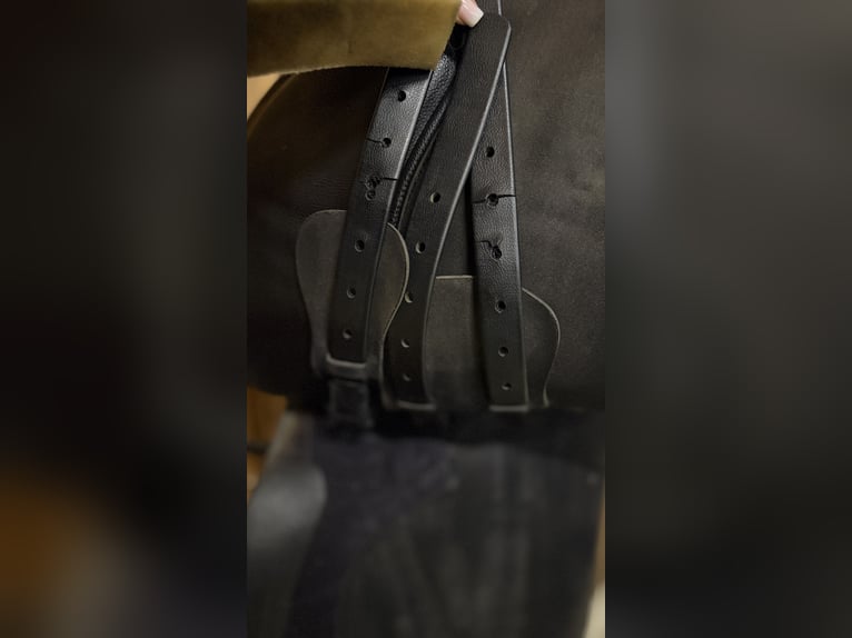 Wintec 500 VS HART 17,5" 44cm