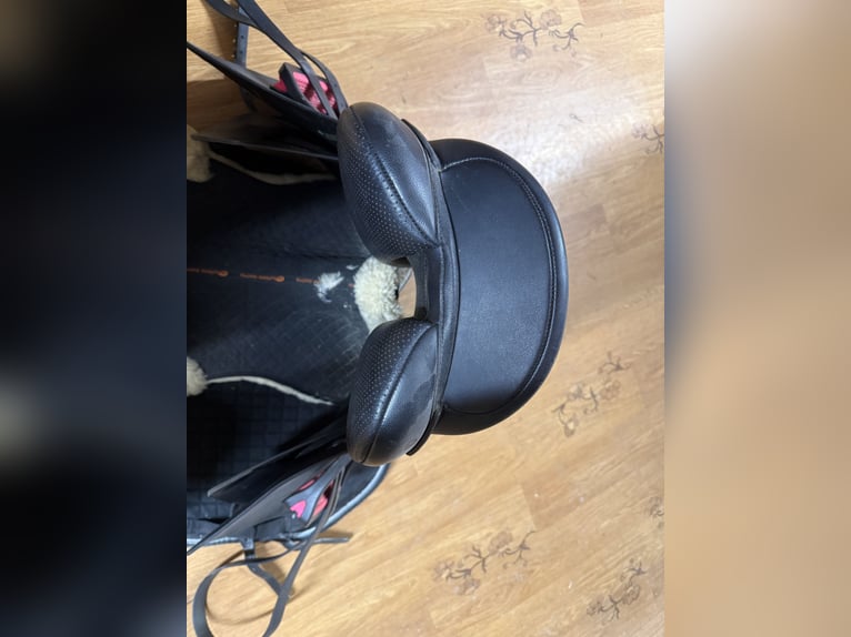 Wintec 500 Wide, 17,5“ 