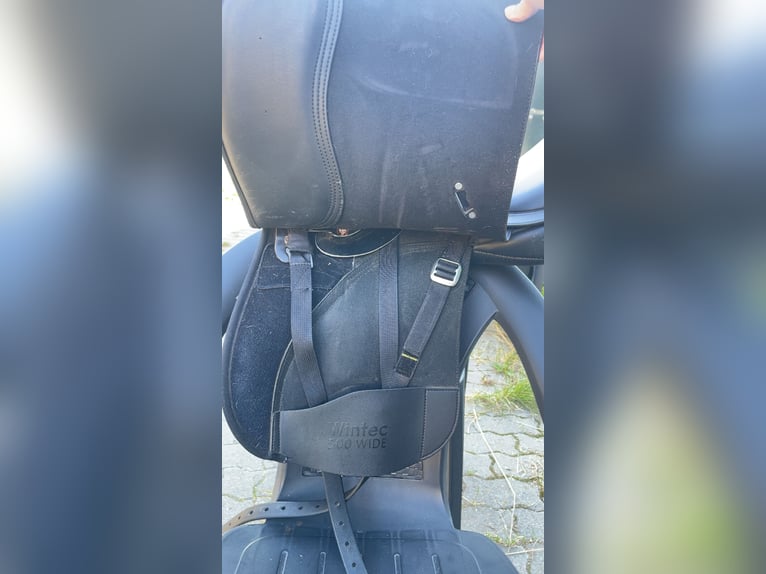 Wintec 500 Wide Vielseitigkeitssattel mit viel Zubehör 