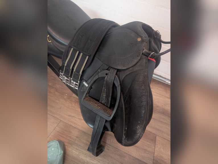 Wintec Vielseitigkeitssattel