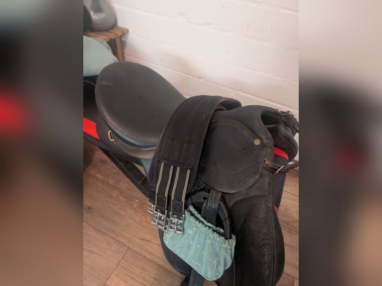 Wintec Vielseitigkeitssattel