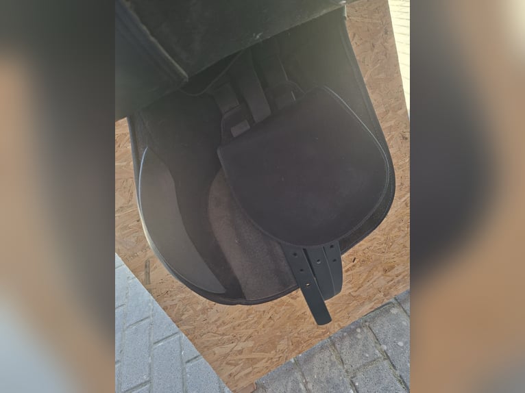 Wintec Vielseitigkeitssattel (Schwerpunkt Dressur)