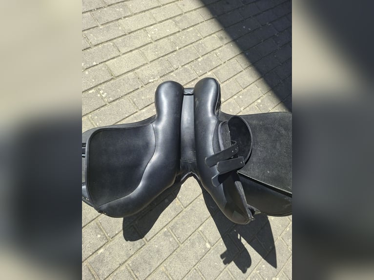 Wintec Vielseitigkeitssattel (Schwerpunkt Dressur)