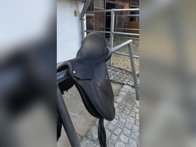 Wintec VS Sattel 17,5 Zoll – Top Zustand – alle Kopfeisen