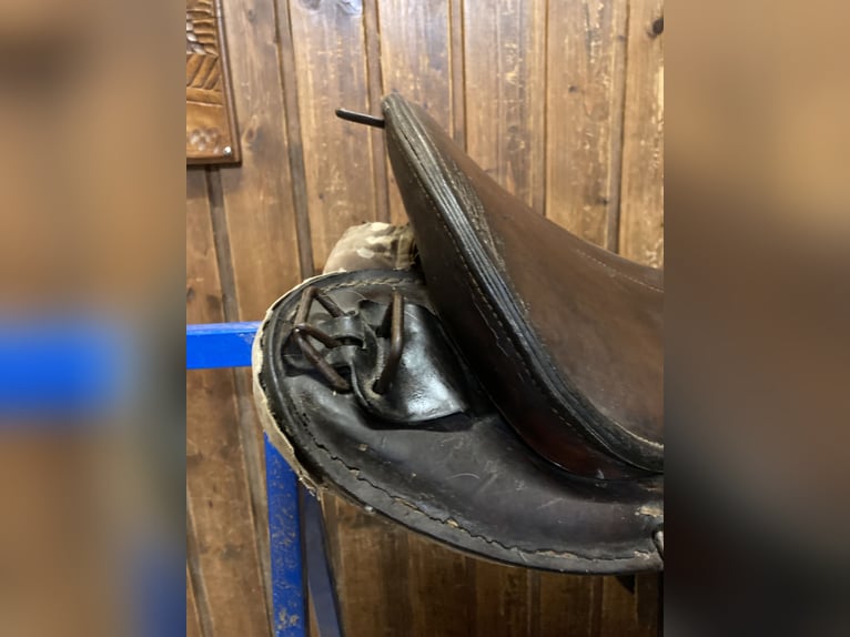 Bocksattel - Kavallerie Armeesattel - Wehrmacht englischer Sattel zu verkaufen