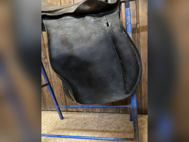 Bocksattel - Kavallerie Armeesattel - Wehrmacht englischer Sattel zu verkaufen