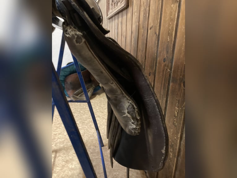 Bocksattel - Kavallerie Armeesattel - Wehrmacht englischer Sattel zu verkaufen