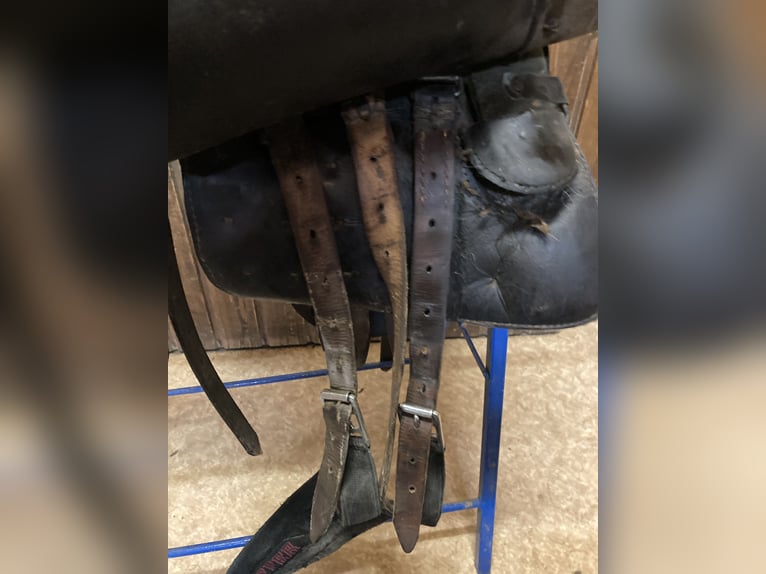 Bocksattel - Kavallerie Armeesattel - Wehrmacht englischer Sattel zu verkaufen