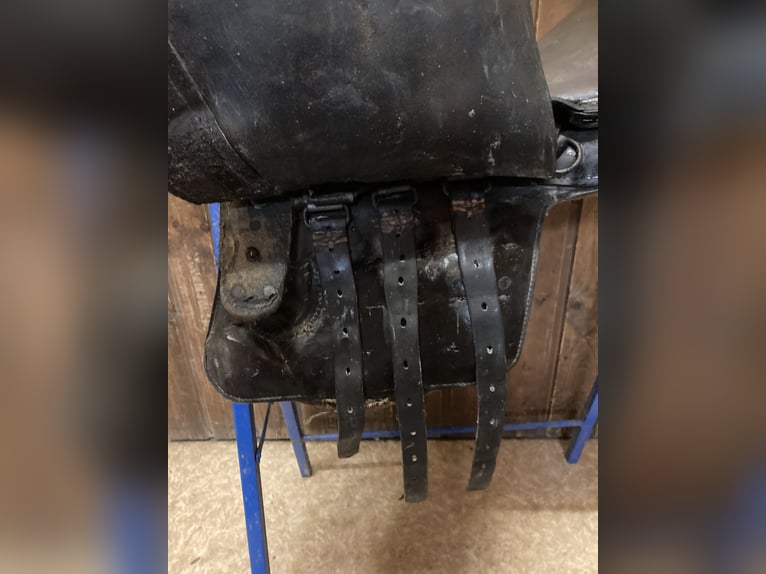 Bocksattel - Kavallerie Armeesattel - Wehrmacht englischer Sattel zu verkaufen
