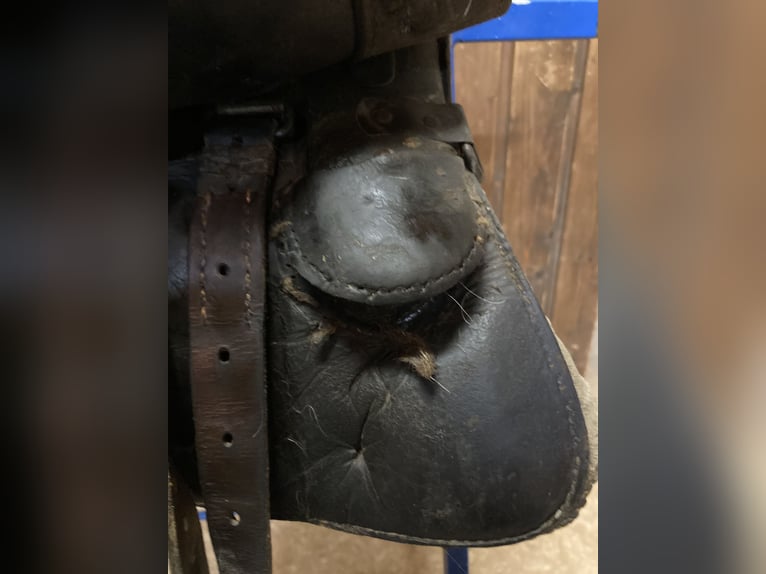 Bocksattel - Kavallerie Armeesattel - Wehrmacht englischer Sattel zu verkaufen