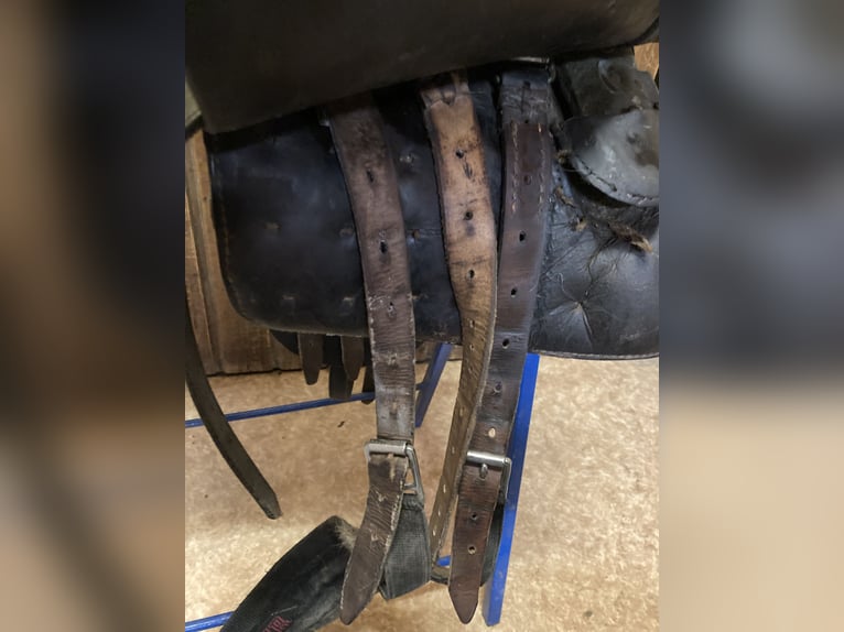 Bocksattel - Kavallerie Armeesattel - Wehrmacht englischer Sattel zu verkaufen