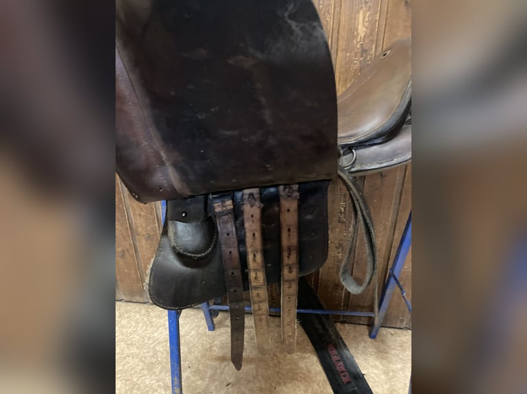 Bocksattel - Kavallerie Armeesattel - Wehrmacht englischer Sattel zu verkaufen